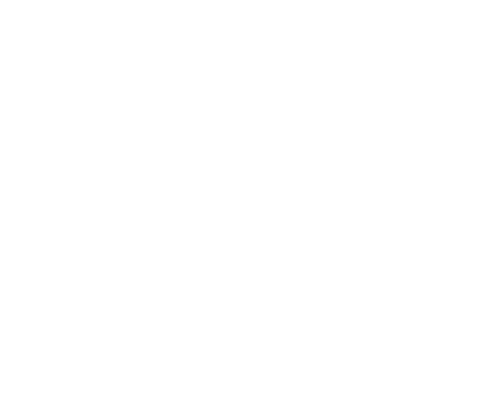 Liceo ML King